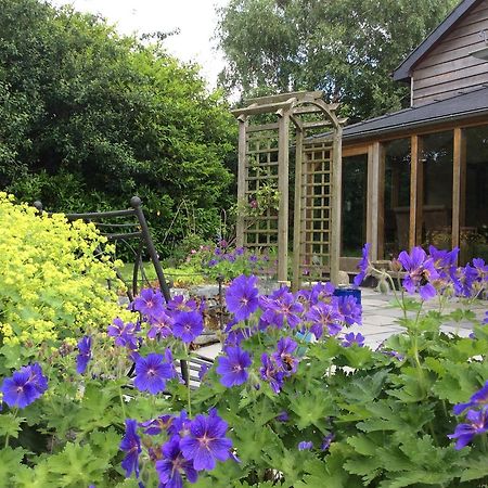Bed and Breakfast Cysgod Y Garn Bala Exterior foto