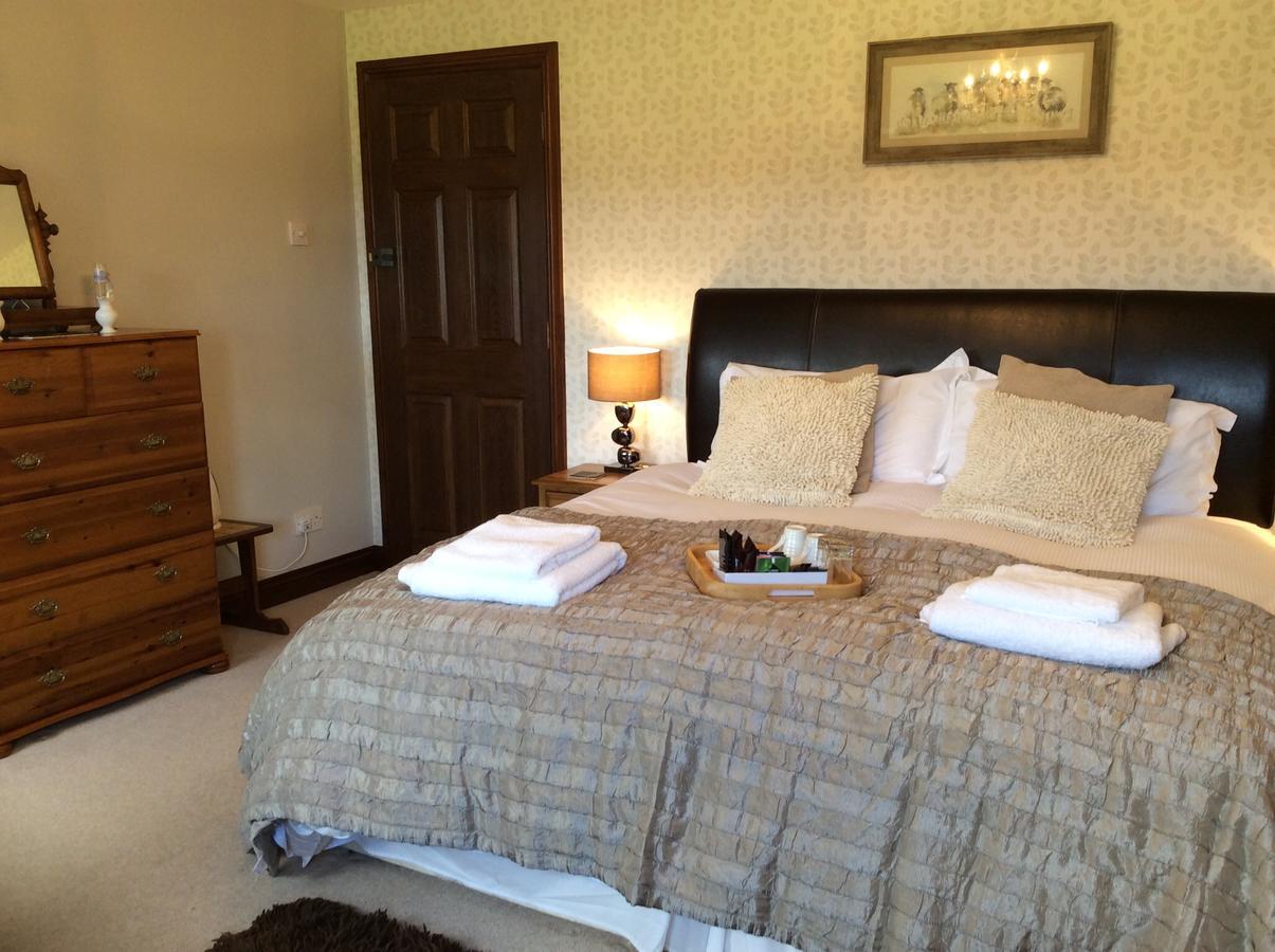 Bed and Breakfast Cysgod Y Garn Bala Exterior foto